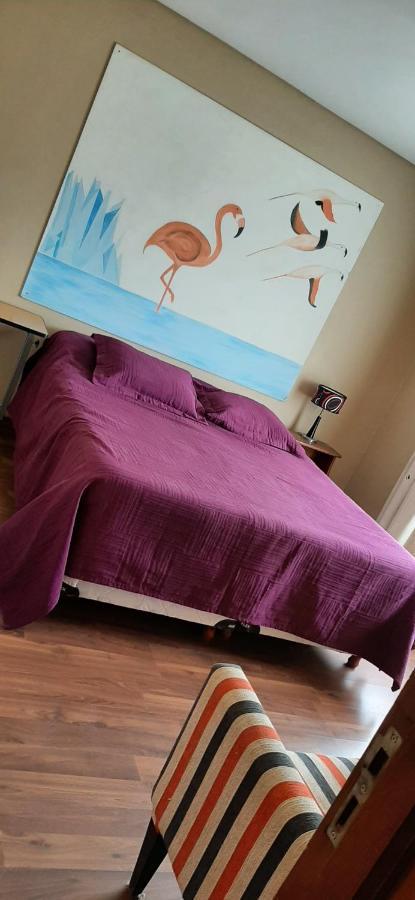 SHOTEL Calafate Esterno foto